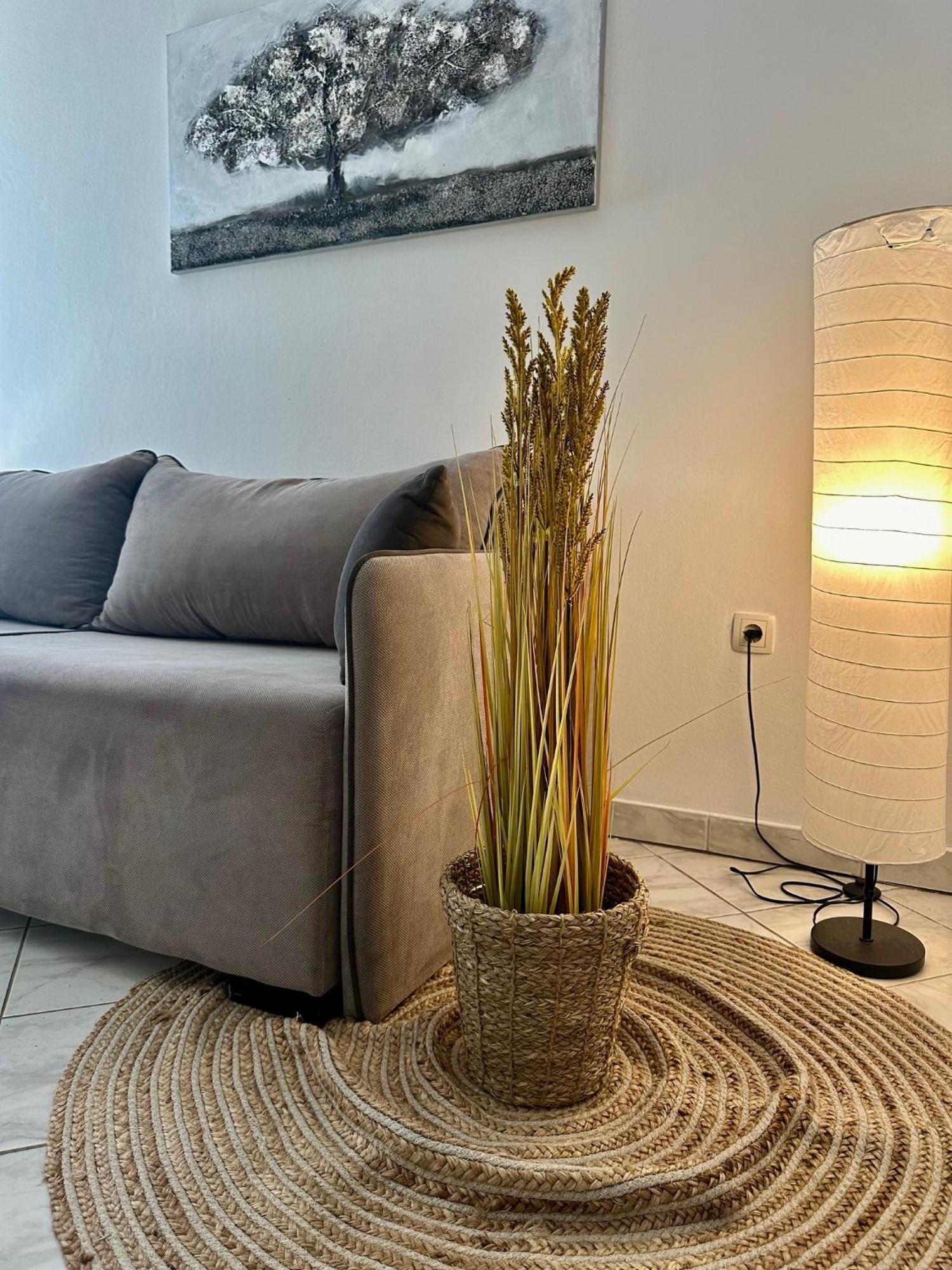 Apartments & Villa Tisno 奥布罗瓦茨 外观 照片